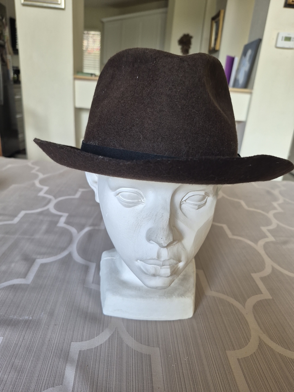Brown Felt Fedora Hat